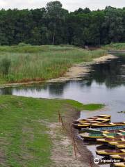 Special Nature Reserve Obedska Bara