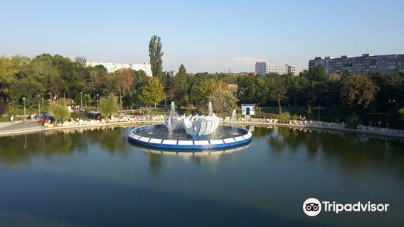 Parcul Drumul Taberei (Park Camp Road)