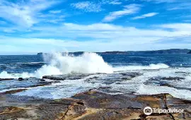 Bouddi National Park