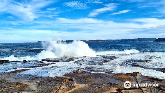 Bouddi National Park