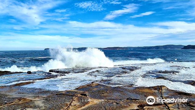 Bouddi National Park
