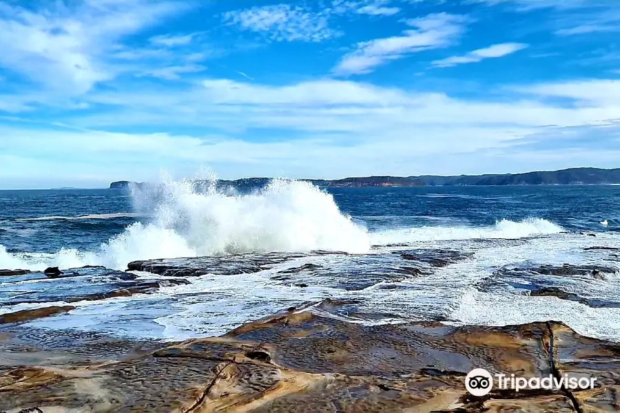 Bouddi National Park