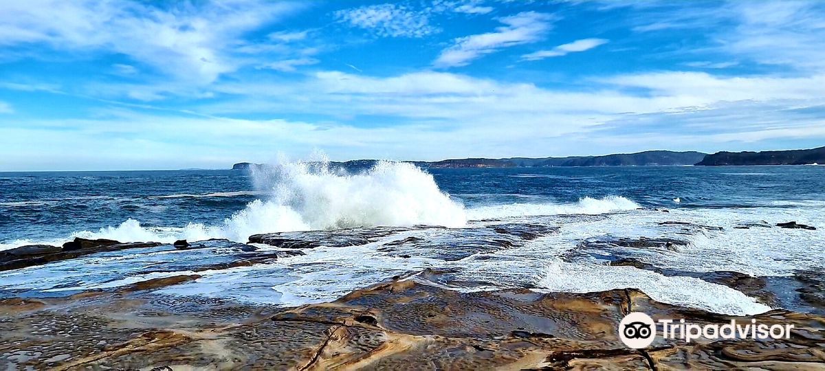 Bouddi National Park