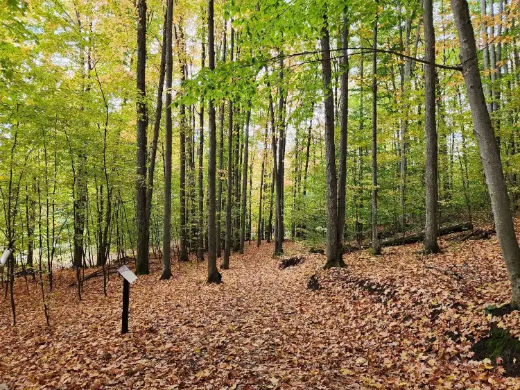 Weldon Township