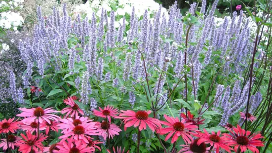 Plant Paradise Country Gardens