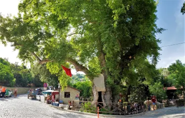 Hidirbey Mahallesi