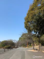 Umi Park