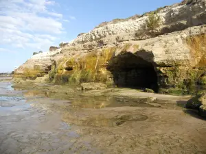 Playa Las Grutas - Bajada 5