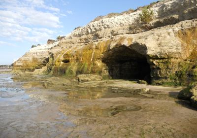 Playa Las Grutas - Bajada 5