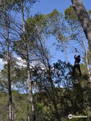 Activ Natura Parc d'Aventura