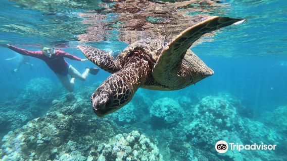 Po‘olenalena Beach