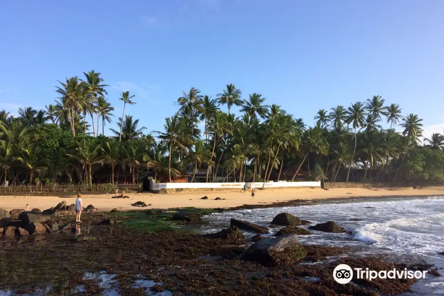 Mihiripenna Beach