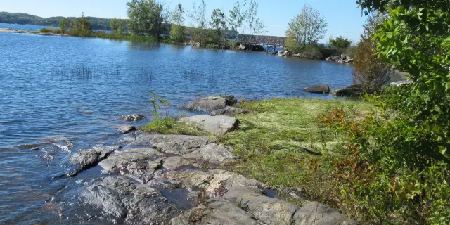 Parry Sound Parking