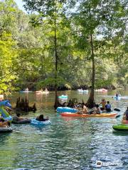 Ginnie Springs