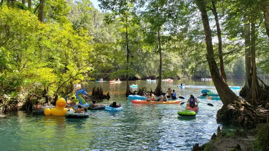 Ginnie Springs