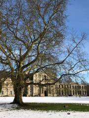 Abbaye Notre-Dame d'Ourscamp