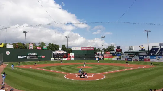 Hadlock Field