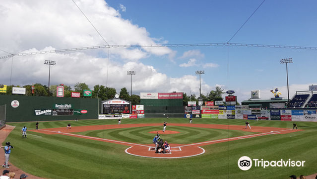 Hadlock Field