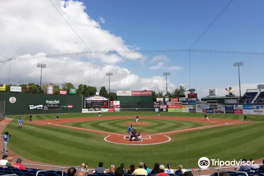 Hadlock Field