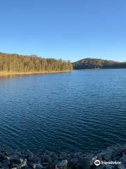 Cowarra Off Creek Storage Dam