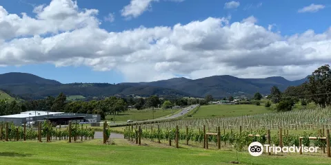 Kate Hill Wines