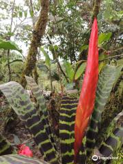 Parque Etnobotanico Omaere