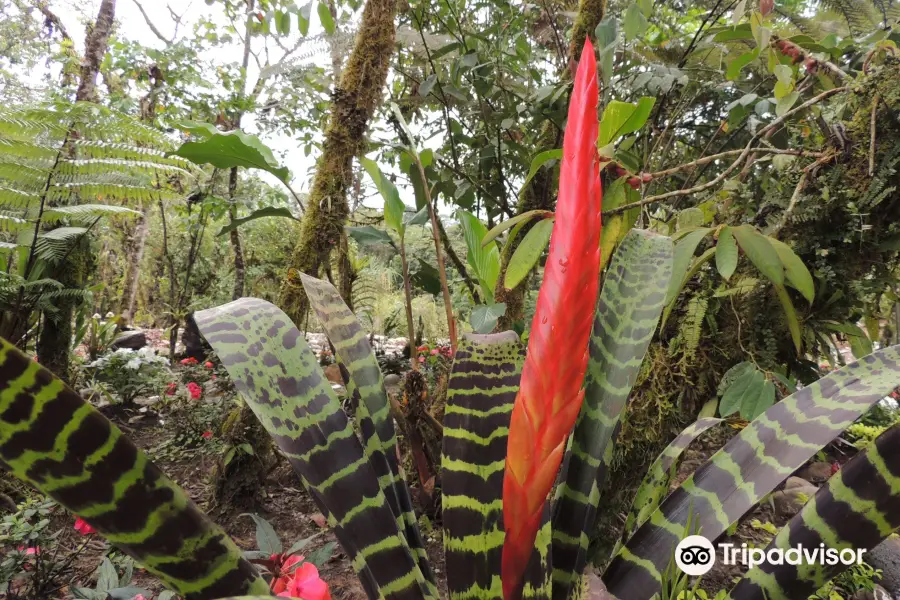 Parque Etnobotanico Omaere