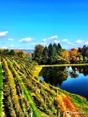 Blue Mountain Vineyards & Cellars