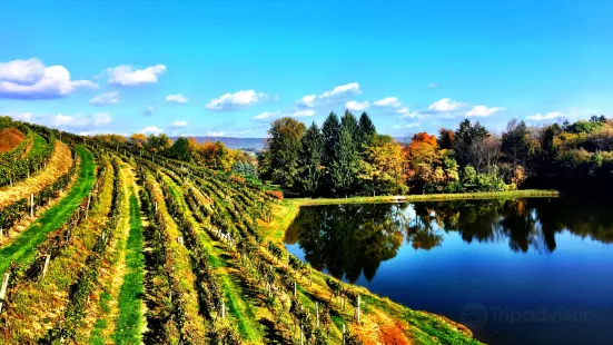 Blue Mountain Vineyards & Cellars