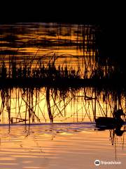 Sacramento National Wildlife Refuge