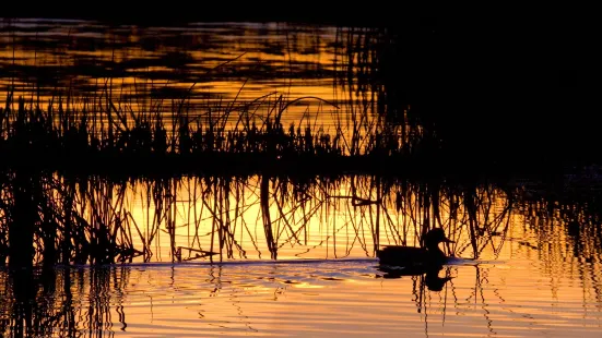 Sacramento National Wildlife Refuge