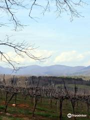 Blackstock Vineyards & Winery