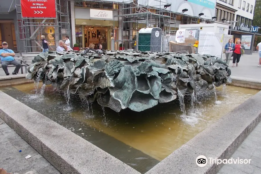 Fountain Of Leaves
