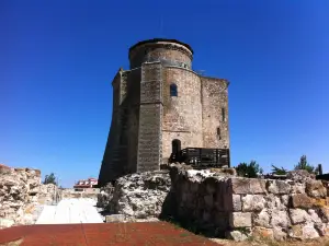 Castle of the Dukes of Alba