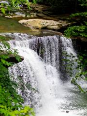 Hawks Nest State Park