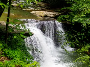 Hawks Nest State Park