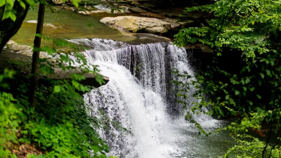 Hawks Nest State Park