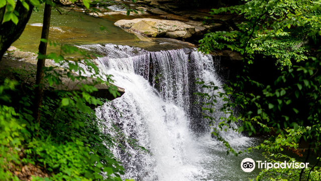 Hawks Nest State Park