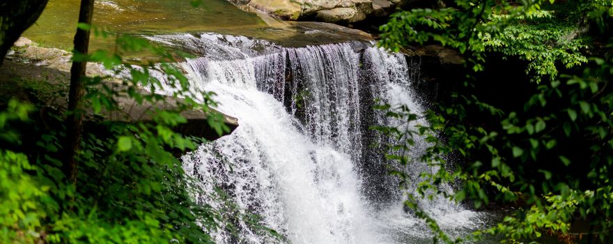 Hawks Nest State Park
