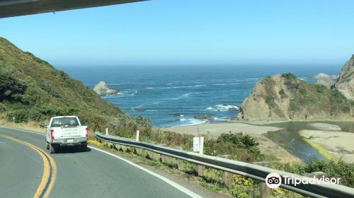 Sonoma Coast State Beach