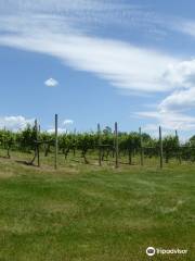 North Mountain Vineyard and Winery