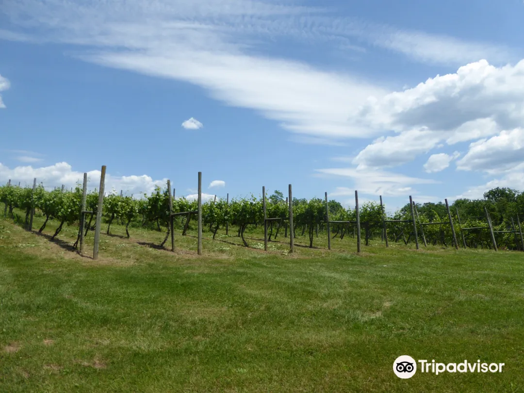 2_North Mountain Vineyard and Winery