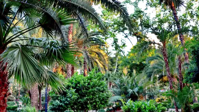 Ribalta Park