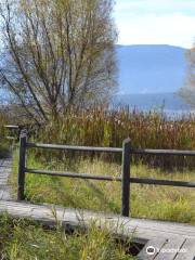 Salmon Arm Bay Nature Enhancement Society