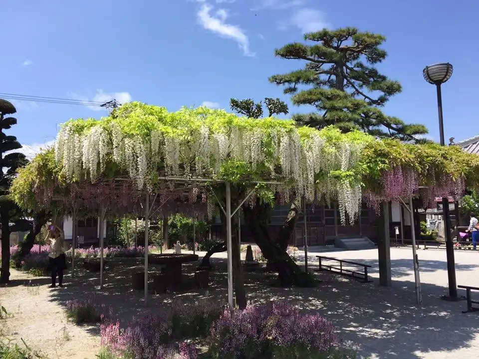 Hotels near Chofukuji