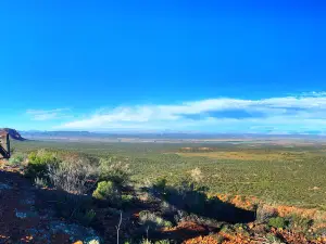 Buffelsdrift Game Lodge