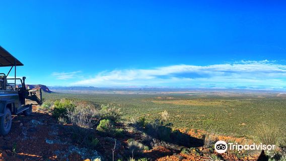 Buffelsdrift Game Lodge