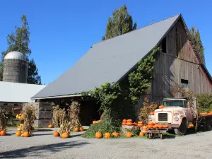 Gordon Skagit Farms