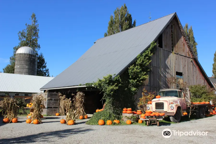 Gordon Skagit Farms