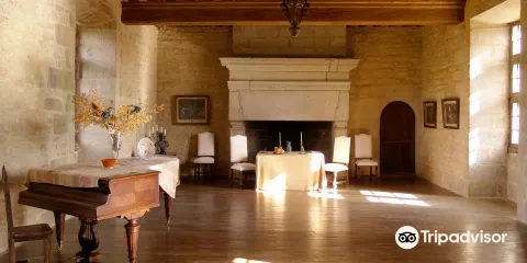 Chateau de Kergroadez